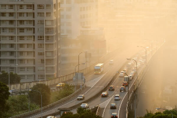 वायु प्रदूषण से बचने को मास्क, भाप व प्राणायाम जरूरी