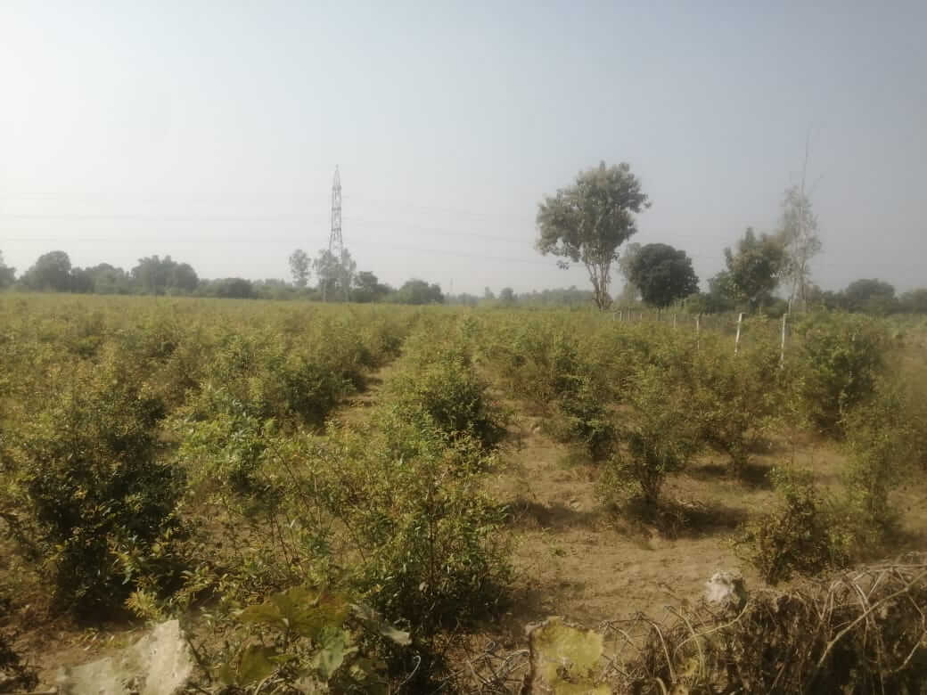 WhatsApp Image 2025-11-05 at 19.16.42 (1)