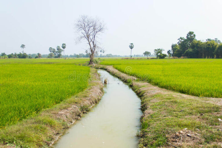 यूपी के किसानों को राहत बांधों और नदियों की डीसिल्टिंग