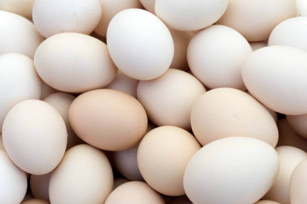 बनाएं अंडे की पौष्टिक एवं स्वादिष्ट टिक्की