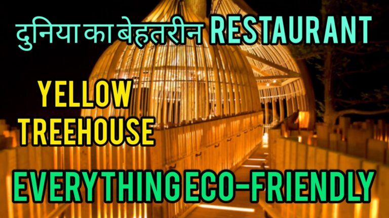 दुनिया का बेहतरीन Restaurant Yellow Treehouse